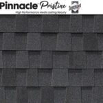 Pinnacle Pristine in Black Shadow color