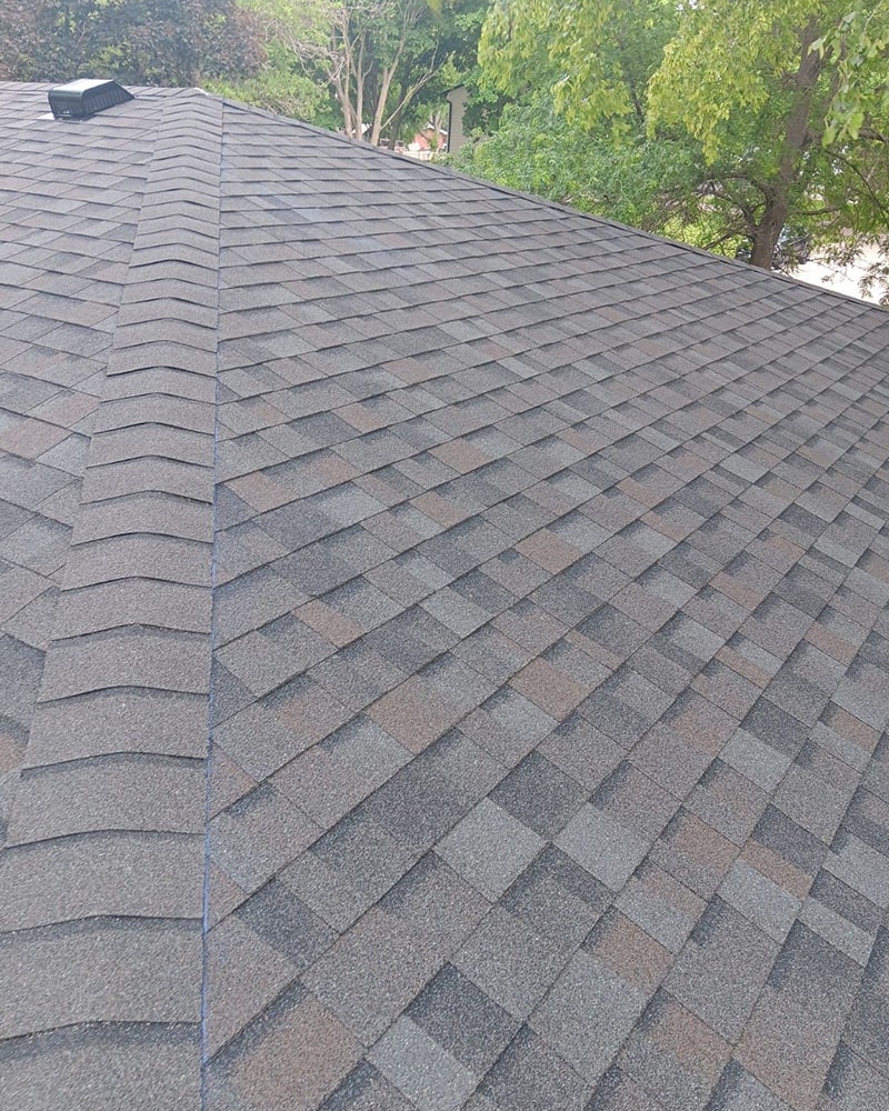 new shingle roof