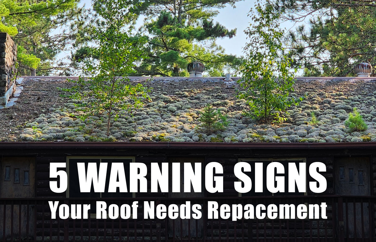 Thumbnail photo for the blog 5 warning signs your roof needs replacement. Image shows a roof with massive moss growth and trees growing on the roof of a cabin.