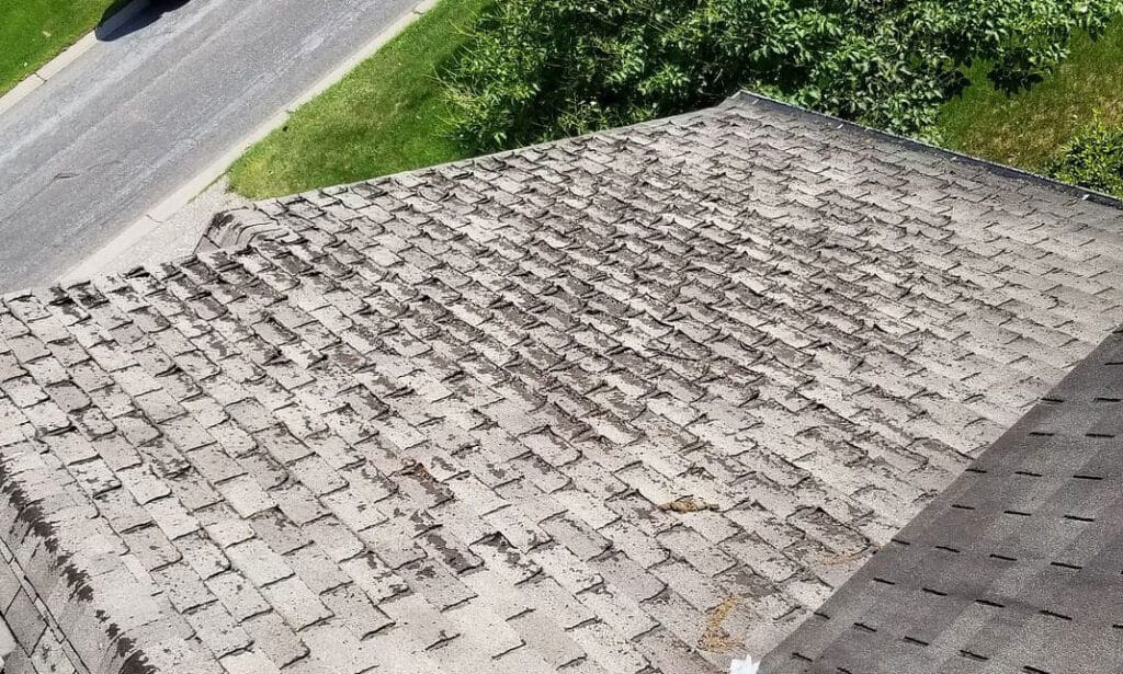 Curling 3-tab shingles on the roof.