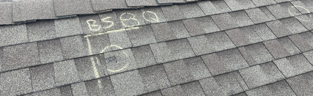 hail damage on shingles