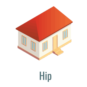 hip